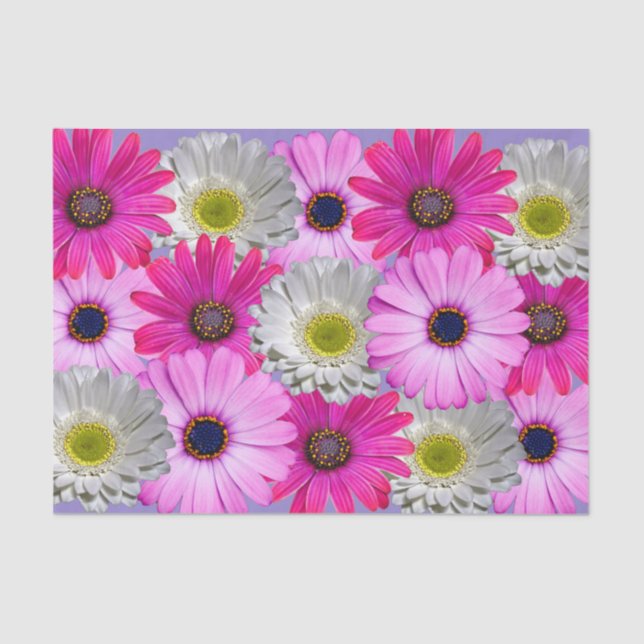 Papel De Seda Buquê da margarida (Frente )