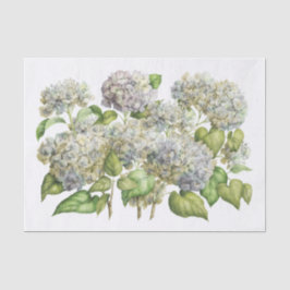 Papel De Seda Buquê floral botânico do Hydrangea azul da lavanda