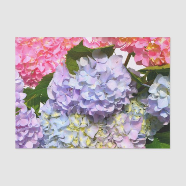 Papel De Seda Buquê Hydrangea (Frente )