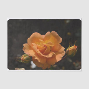 Papel De Seda Bush cor-de-rosa alaranjado