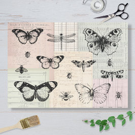 Papel De Seda Butterflies and Bugs