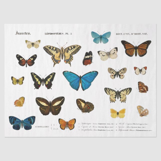 Papel De Seda Butterfly Vintage Francês Decoupage Fussy Cortado (Frente )