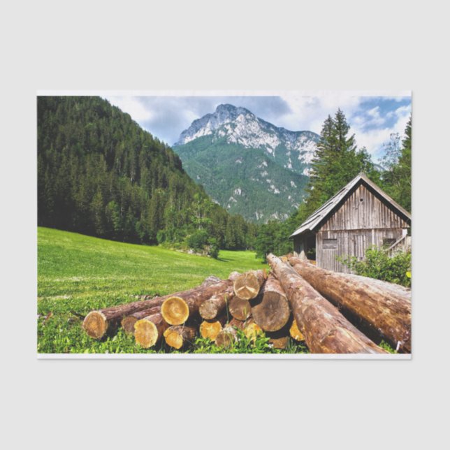 Papel De Seda Cabeça de gato abanada em prado de verão (Frente )