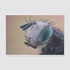 Papel De Seda Cabeça de Inseto de Insetos de Fechamento