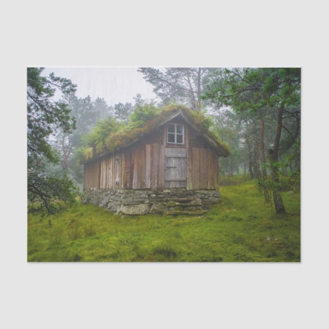 Papel De Seda Cabina Fada na Floresta (Frente )