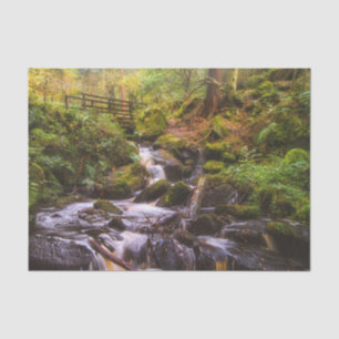 Papel De Seda Cachoeira Suave Bosque Córrego