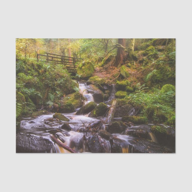 Papel De Seda Cachoeira Suave Bosque Córrego  (Frente )