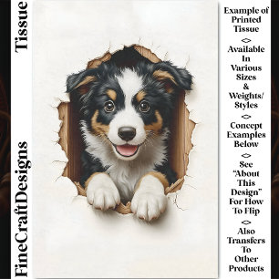 Papel De Seda Cachorrinho Border Collie Fofo Espiando CN7 Decoup