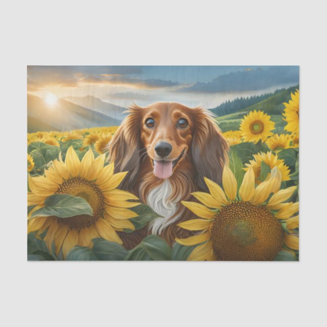 Papel De Seda Cachorro Adora Girassóis Dachshund Marrom de Cabel (Frente )
