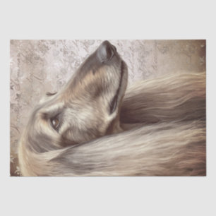Papel De Seda Cachorro Afegão