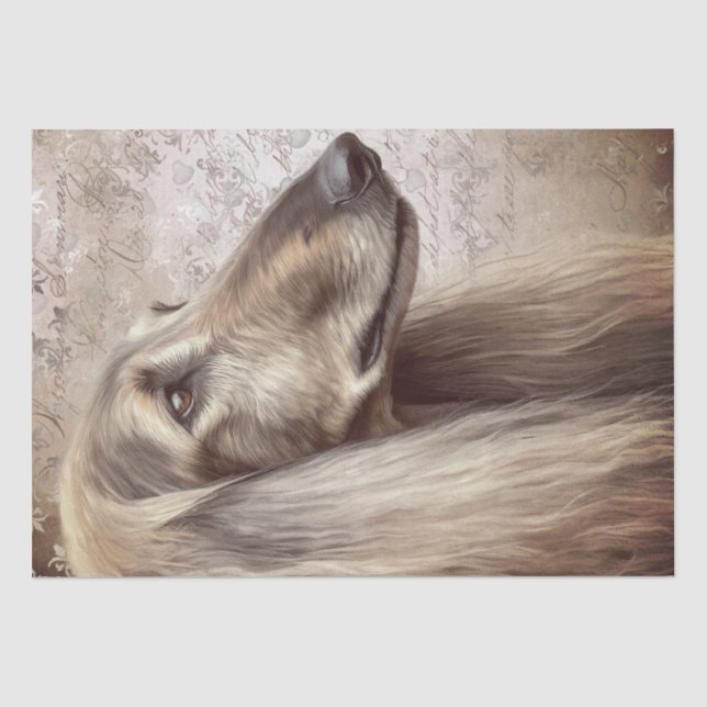 Papel De Seda Cachorro Afegão (Frente )