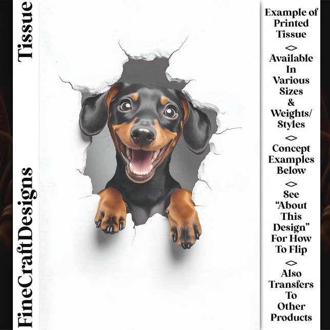 Papel De Seda Cachorro Cachshund Puppy CN8 em Pequim (Criador carregado)