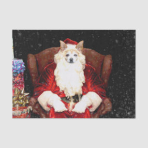 Papel De Seda Cachorro Chihuahua Papai Noel Vermelho Natal Diver