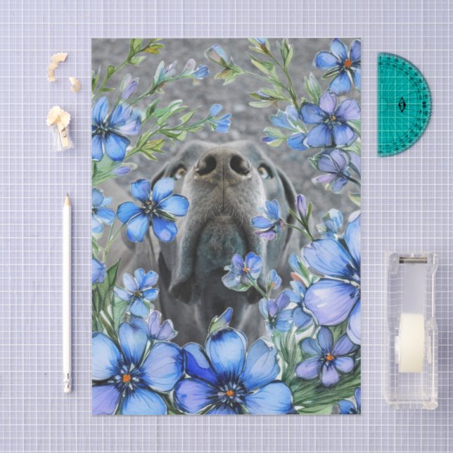 Papel De Seda Cachorro Cômico Dogue Alemão (Arte )