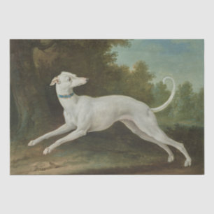 Papel De Seda Cachorro de Greyhound Branco (por Jean-Baptiste Ou