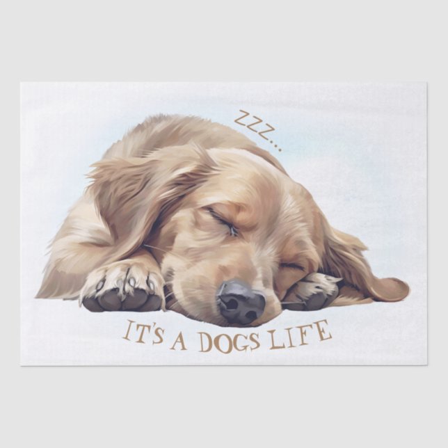 Papel De Seda Cachorro Dormindo Cute Ilustrado (Frente )