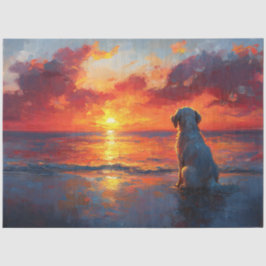 Papel De Seda Cachorro na Praia Assistindo à Desnuvem Sunset