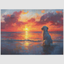 Cachorro na Praia Observando o Pôr do Sol Decoupag