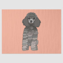 Papel de Seda Cachorro Poodle