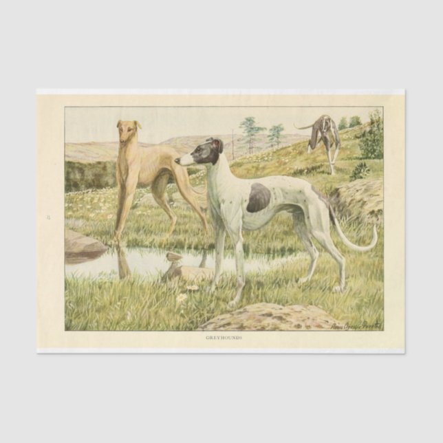 Papel De Seda Cachorro Vintage Ephemera Decoupage Hounds (Frente )