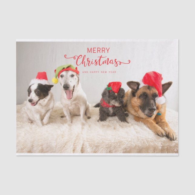Papel De Seda Cachorros Felizes de Natal em Santa Hats (Frente )