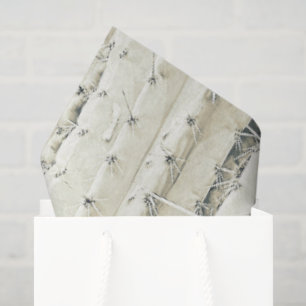 Papel De Seda Cactus Photo Art Neutral Chic Modern Desert