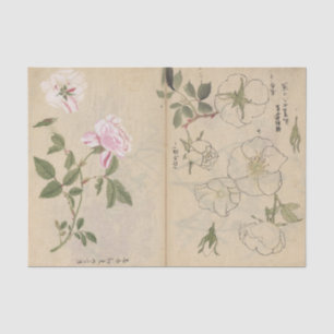 Papel De Seda Caderno de Esboços Pl. 107 por Ariyoshi Kondo