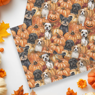 Papel De Seda Cães de Outono em um Halloween de Campo de Abóbora