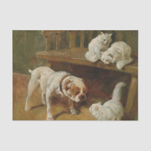 Papel De Seda Cães e gatos por Arthur Heyer (Frente )