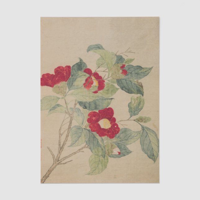 Papel De Seda Camélias por Ma Yuanyu (Frente )