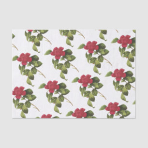 Papel De Seda Camellia Flower Pattern