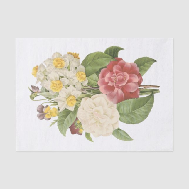 Papel De Seda Camellia, Narciso, Pansy (Frente )
