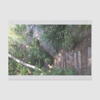 Papel De Seda Caminho através das árvores