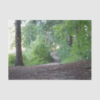 Papel De Seda Caminho através de uma floresta