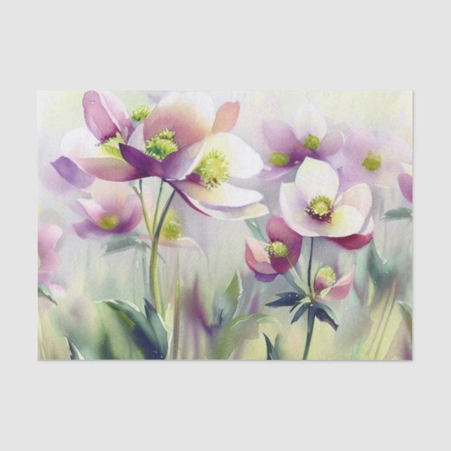 Papel De Seda Campo das Flores-Hellebore (B) Aquarela (Frente )