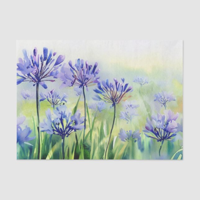 Papel De Seda Campo de Flores-Agapanthus, (D) Aquarela (Frente )