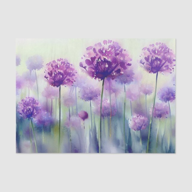Papel De Seda Campo de flores-Allium, (C) Aquarela (Frente )