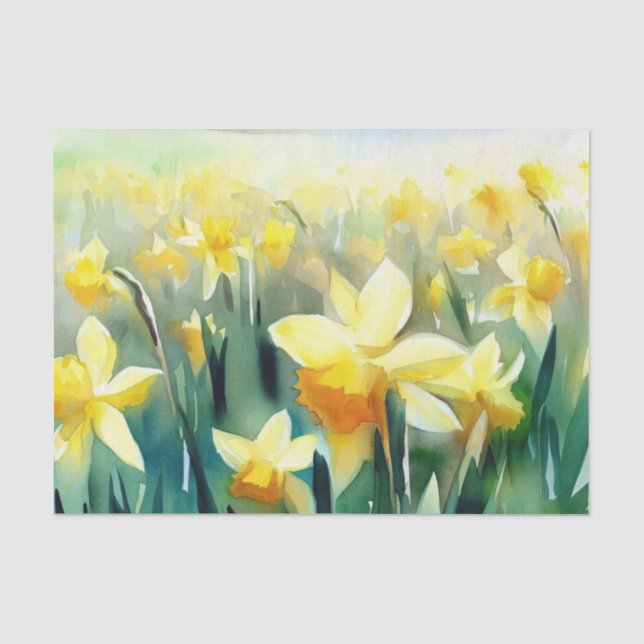 Papel De Seda Campo de Flores-Daffodil (A) Aquarela (Frente )