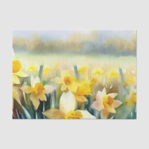 Papel De Seda Campo de Flores-Daffodil (B) Aquarela