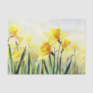 Papel De Seda Campo de Flores-Daffodil (C) Aquarela