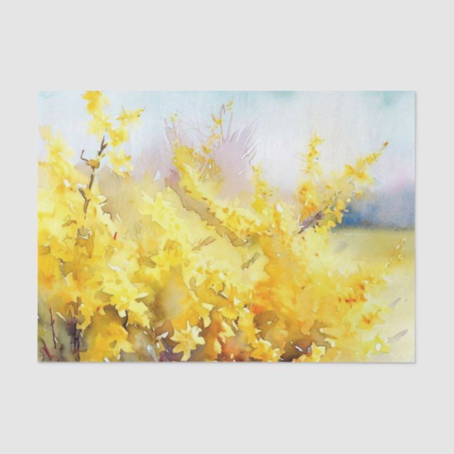 Papel De Seda Campo de Flores-Forsythia (A) Aquarela (Frente )