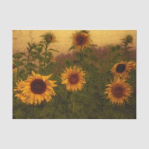 Papel De Seda Campo de Girassóis Textura Amarelo Verde Arte Vint