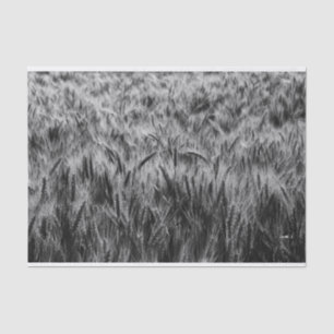 Papel De Seda Campo de trigo preto e branco