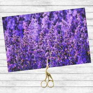 Papel De Seda Campos de Lavanda de Artsé Muito Roxo