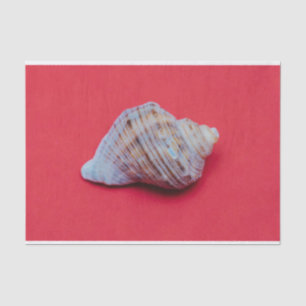 Papel De Seda Cana num fundo vermelho