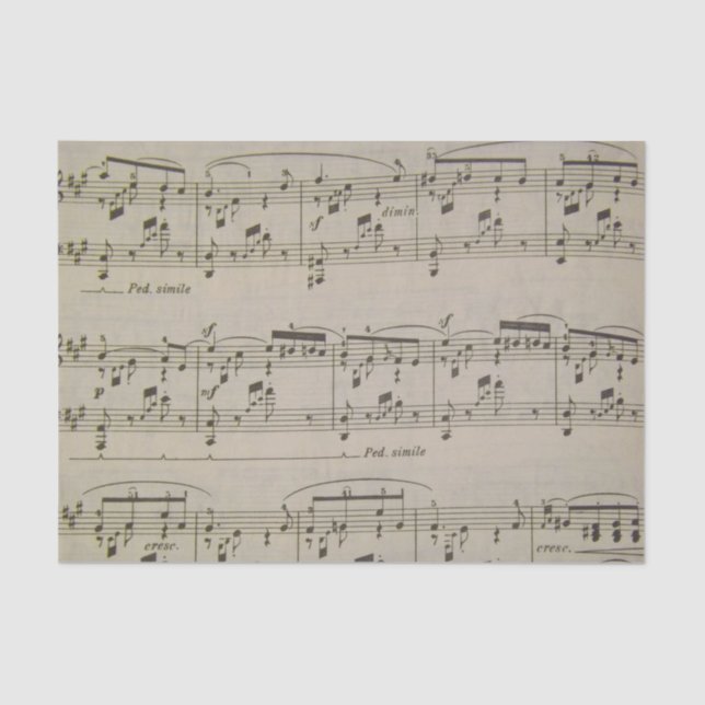 Papel De Seda Canção do primavera (Frente )