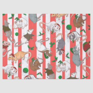 Papel De Seda Candy Cane Pet Rattie Natal!