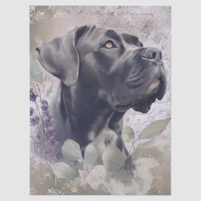 Papel De Seda Cane Corso Floral Dog (Frente )