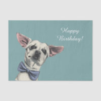 Cão bonito da chihuahua com feliz aniversario do