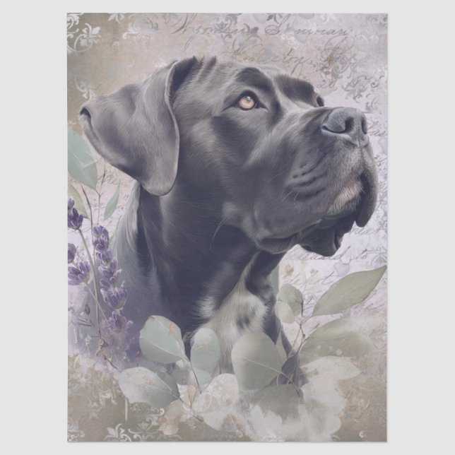 Papel De Seda Cão Corso Floral Cachorro (Frente )